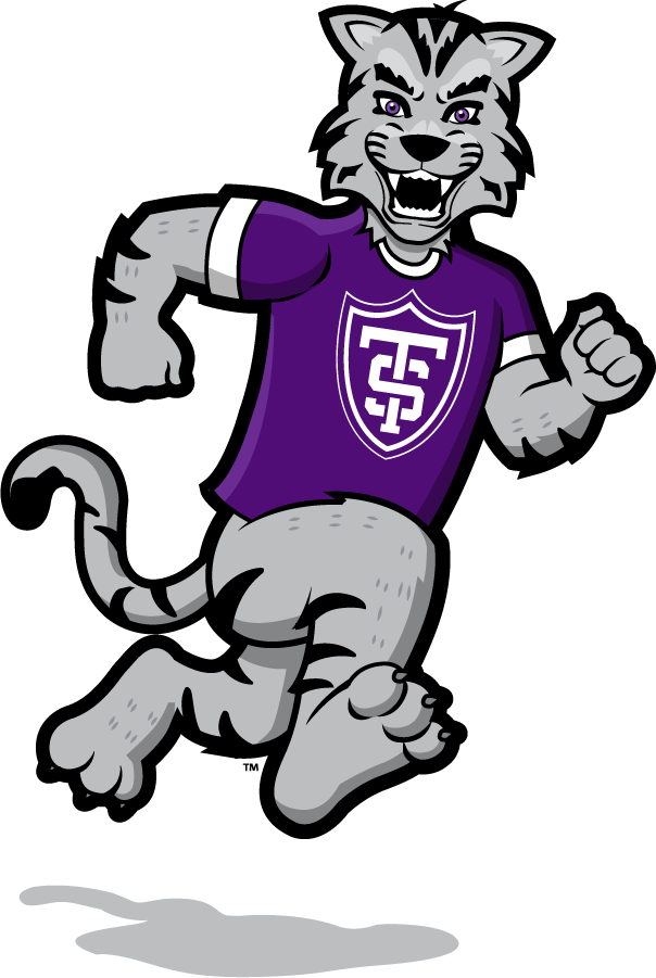 St. Thomas Tommies 2021-Pres Mascot Logo v5 diy DTF decal sticker